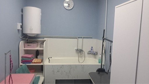 Кабінет для грумінгу в суборенду, або на %, пров. Парусний 16б