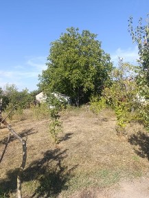 Продам як ділянку