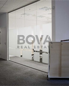 Київська область, Київ, Шевченківський