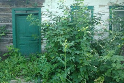 Продаю Будинок з земельною ділянкою в центрі села