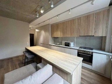 Оренда 1 кімнатної квартири + кухня-студія по вулиці Олени Степанівни