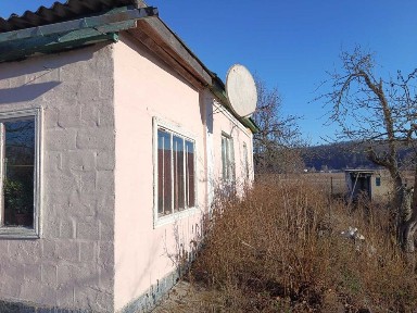 Продаж будинку в селі Будище