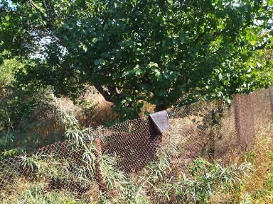 Зазимье -сады лучшее место в кооперативе+двойной участок.