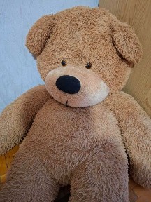 Харківська область, Харків, Салтівський