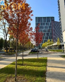 Київ. вул. Віктора Некрасова 6