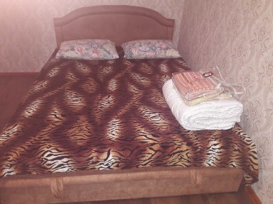 Подобово 1-к в Центрі. Ціна за добу. Власник