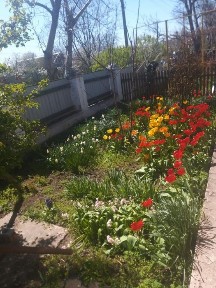 Продаємо дім в Новоселівка, Станція Раухівка