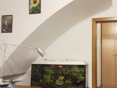 Дніпропетровська область, Дніпро, Центральний