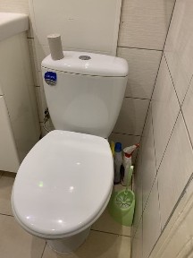 Полтавська область, Полтава