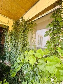 Одеська область, Одеса, Приморський