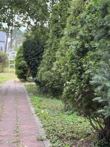 Здам в оренду Будинок в Бучі