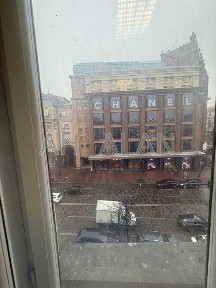 Київська область, Київ, Шевченківський