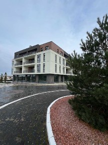 Рівненська область, Рівне