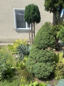 Продаж пів будинка м. Сокаль 42000$