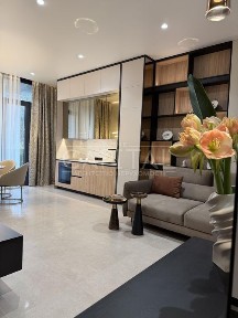 Київська область, Київ, Печерський