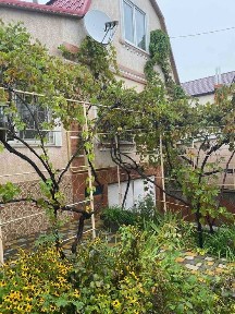 Одеська область, Чорноморськ