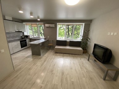 Дніпропетровська область, Дніпро, Центральний