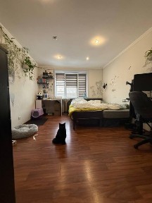 Львівська область, Львів, Галицький