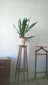 Оренда 1-кім. квартири. вул. М. Вовчка-бл. центр