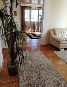 Здам трикімнатну квартиру в самісінькому центрі міста!