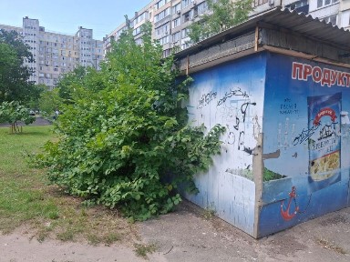 Оренда приміщення - 29 кв. м, вул. Зої Гайдай, 9Б (Київ)