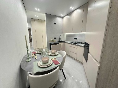 Київська область, Софіївська Борщагівка