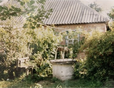 Продам хату+24 соток землі, с. Пізники, Чорнухінський р-н