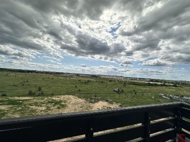 Київська область, Софіївська Борщагівка