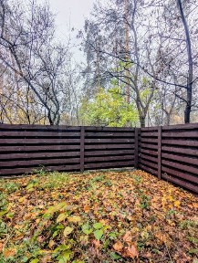 Київська область, Буча