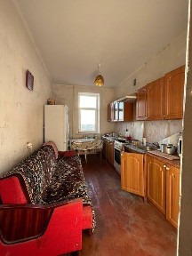 Житомирська область, Житомир, Польова