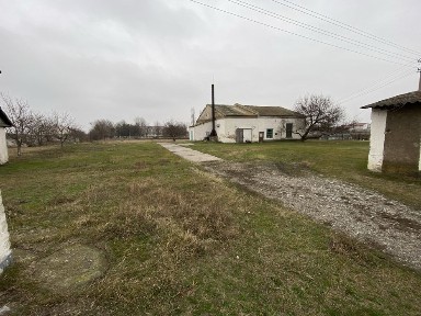 Оренда Олійниця, Крупорушка