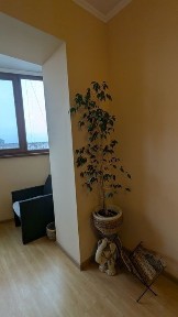 Одеська область, Одеса, Київський