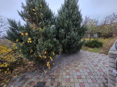 Пожалуйста, читайте до конца. Часть дома с гаражом и бомбоубежищем.