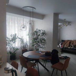 Дніпропетровська область, Дніпро, Центральний