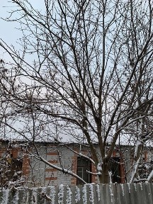 Харківська область, Харків, Київський