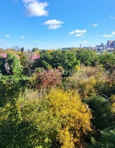 Київська область, Київ, Шевченківський