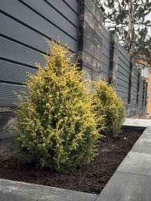 Продається новобудова на Новоолексіївці