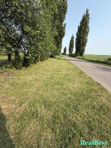 Продаж / Будинок / Пересопниця