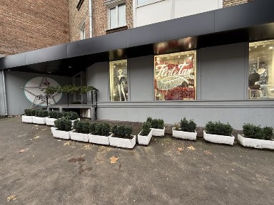 Київська область, Київ, Печерський