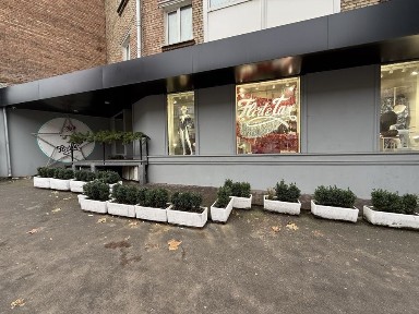 Київська область, Київ, Печерський