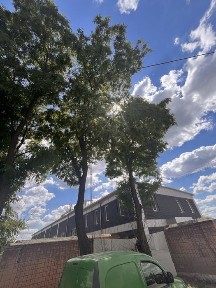 Офісні приміщення на Парковій 3а, перша лінія.