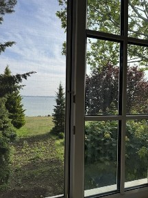 Одеська область, Ліски