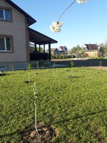 Оренда нового будинку, з подвалом