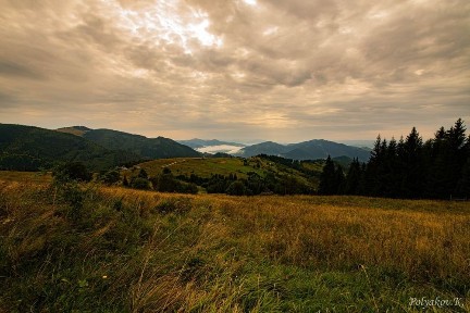 Відпочинок в Карпатах