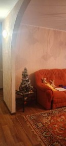 Продаж двох кімнатної чешки