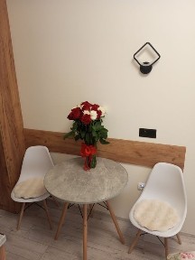 СвітлоЕзавжди, люкс, подобово, погодинно, центр, біля л. Мечнікова