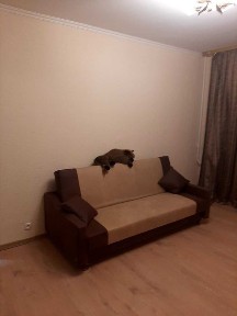 Київська область, Київ, Оболонський