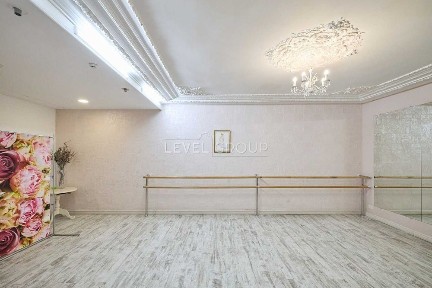 Київ, Печерський, вулиця Шота Руставелі 30Б