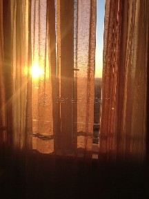 Аренда 1-комнатной квартиры 40 м², Люстдорфская дорога, 5