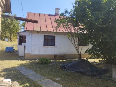 Рівненська область, Грушвиця Перша